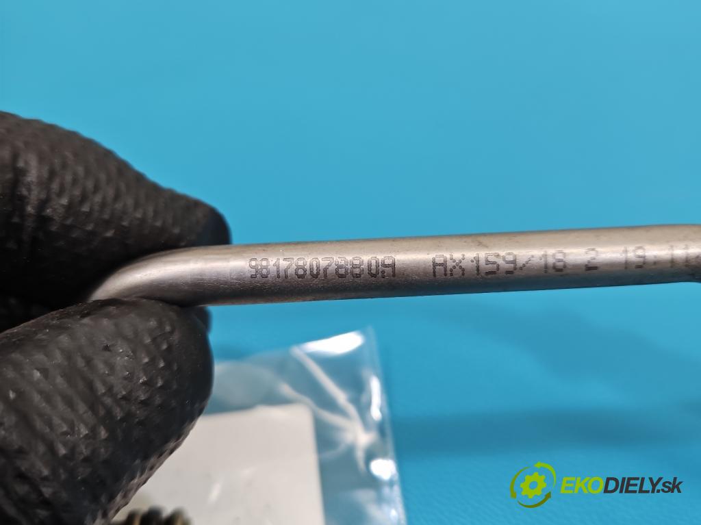 Peugeot 308 II 2013-2021 1.2 12V 110 HP manual 81 kW 1199 cm3 5- rúrka mazania turba 9817807880A