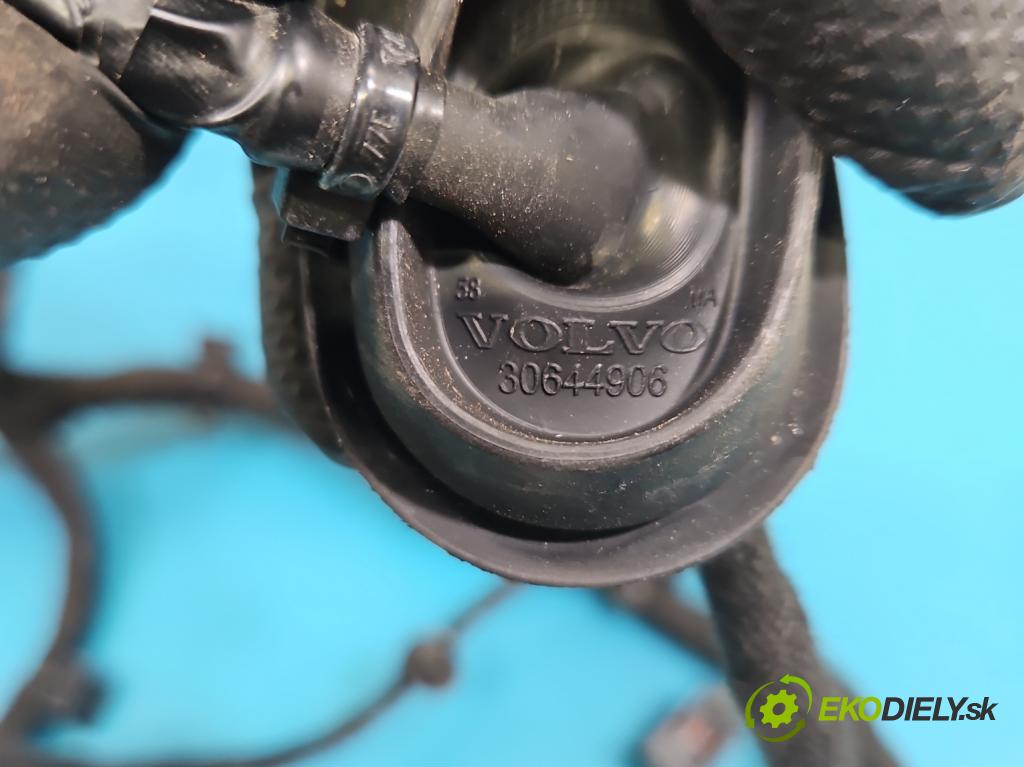 Volvo S90 II 2016- 2.0 T 320KM automatic 235 kW 1969 cm3 4- Zväzok: dvere predné pravých 31398924AC