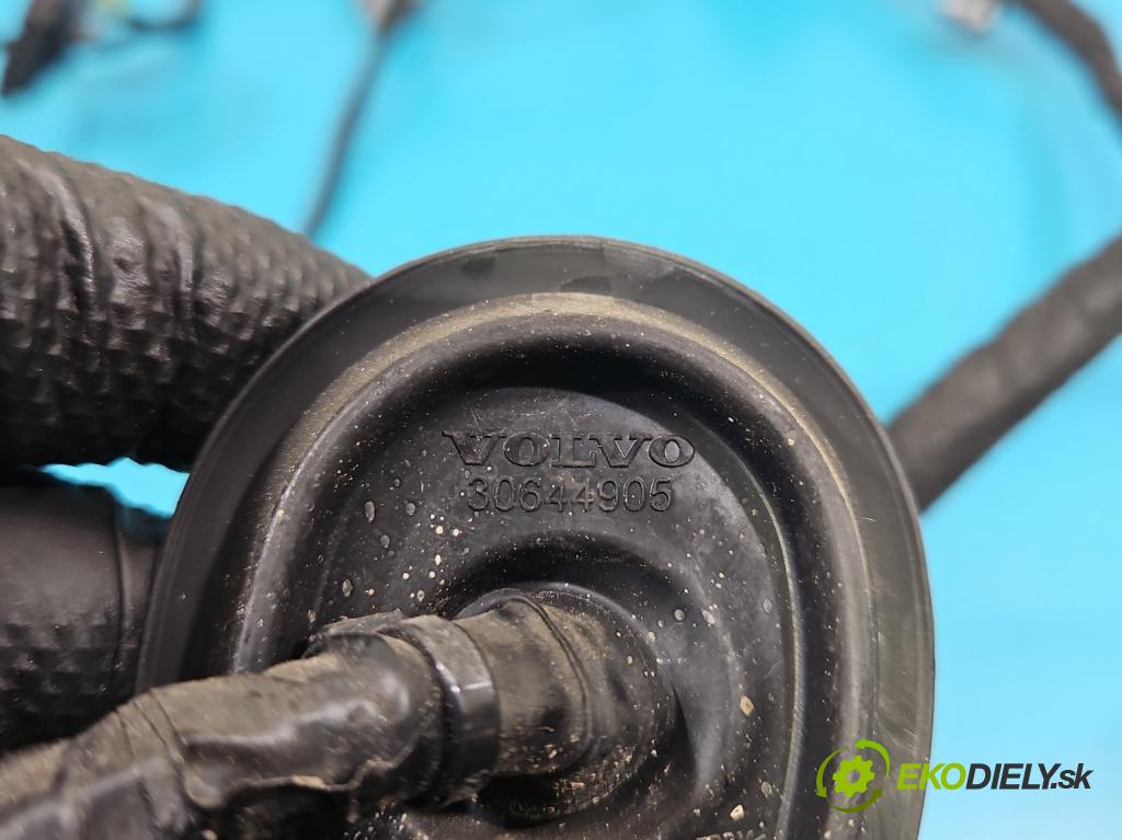 Volvo S90 II 2016- 2.0 T 320KM automatic 235 kW 1969 cm3 4- Zväzok: dvere zadné pravých 31398928-AD