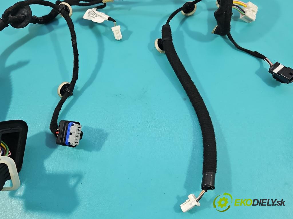 Renault Express 1.5 dci 95 HP manual 70 kW 1461 cm3 5- Zväzok: dvere predné vľavo: 241258306R