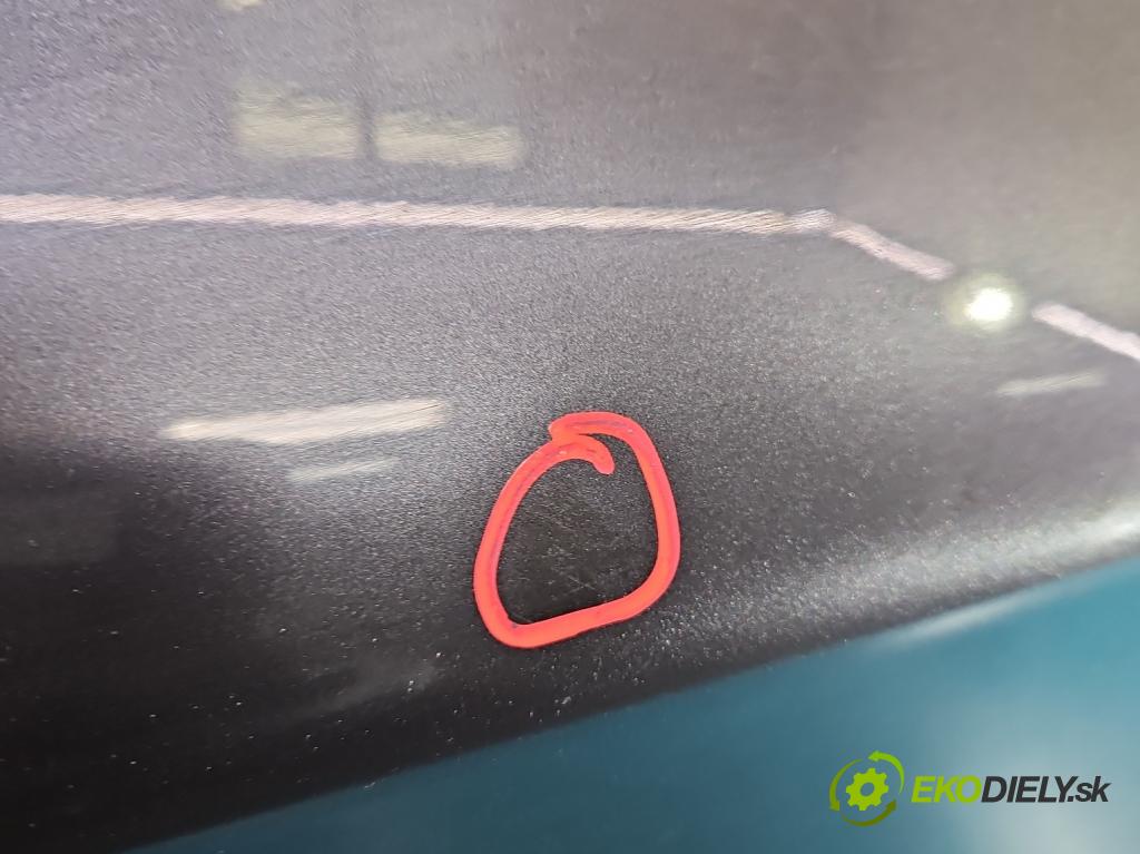 Bmw 1 E87 2004-2011 2.0d 122 hp manual 90 kW 1995 cm3 5- dveře přední pravé  (Klika dveří ostatní)