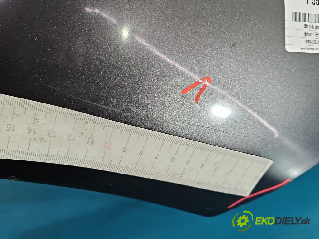 Bmw 1 E87 2004-2011 2.0d M47 122 HP manual 90 kW 1995 cm3 5- blatník predné pravý  (Kľučka dverí ostatné)