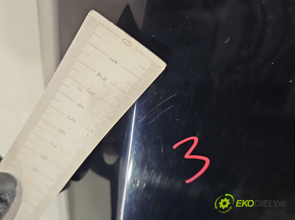 Land rover Range Rover sport I L320 3.6 TD V8 272 HP automatic 200 kW 3628 cm3 5- kapota predná