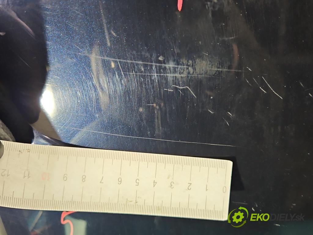 Land rover Range Rover sport I L320 3.6 TD V8 272 HP automatic 200 kW 3628 cm3 5- kapota predná