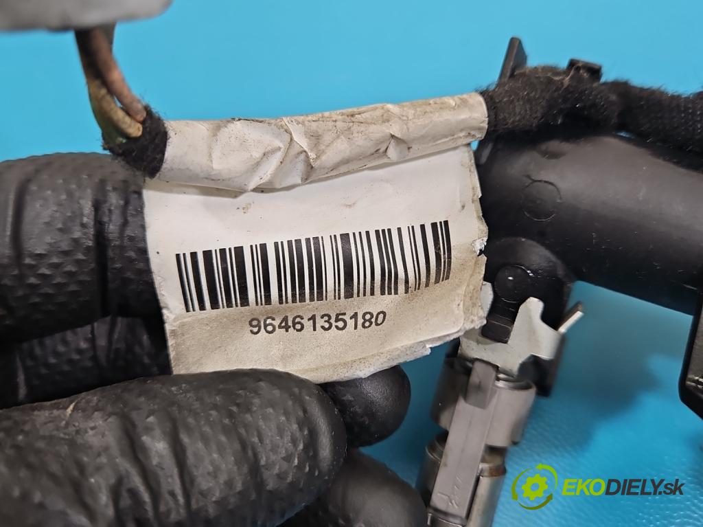 Citroen C4 I 2004-2011 1.4 16V 88 HP manual 65 kW 1360 cm3 3- vstrek IPM012 (Vstrekovač paliva)