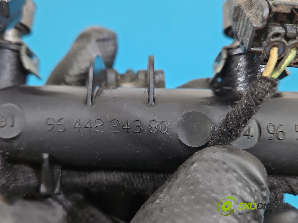 Citroen C4 I 2004-2011 1.4 16V 88 HP manual 65 kW 1360 cm3 3- vstrek IPM012 (Vstrekovač paliva)