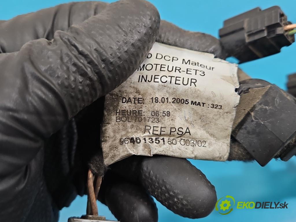 Citroen C4 I 2004-2011 1.4 16V 88 HP manual 65 kW 1360 cm3 3- vstrek IPM012 (Vstrekovač paliva)