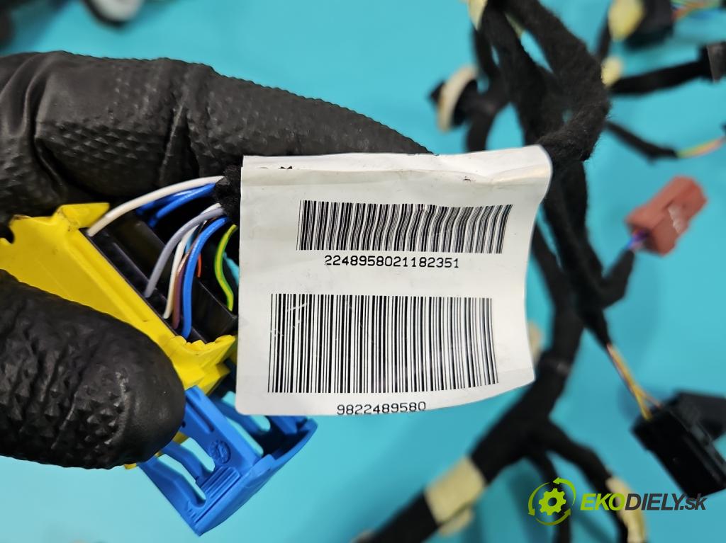 Peugeot 508 II 2018- 1.6 224 hp automatic 165 kW 1598 cm3 5- Balíček: dveře přední vlevo 9822489580