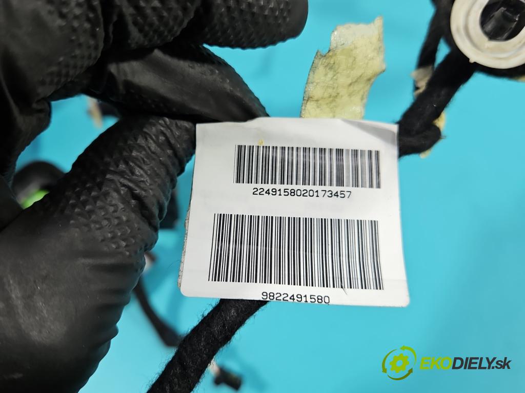 Peugeot 508 II 2018- 1.6 224 hp automatic 165 kW 1598 cm3 5- Balíček: dveře přední pravých 9822491580