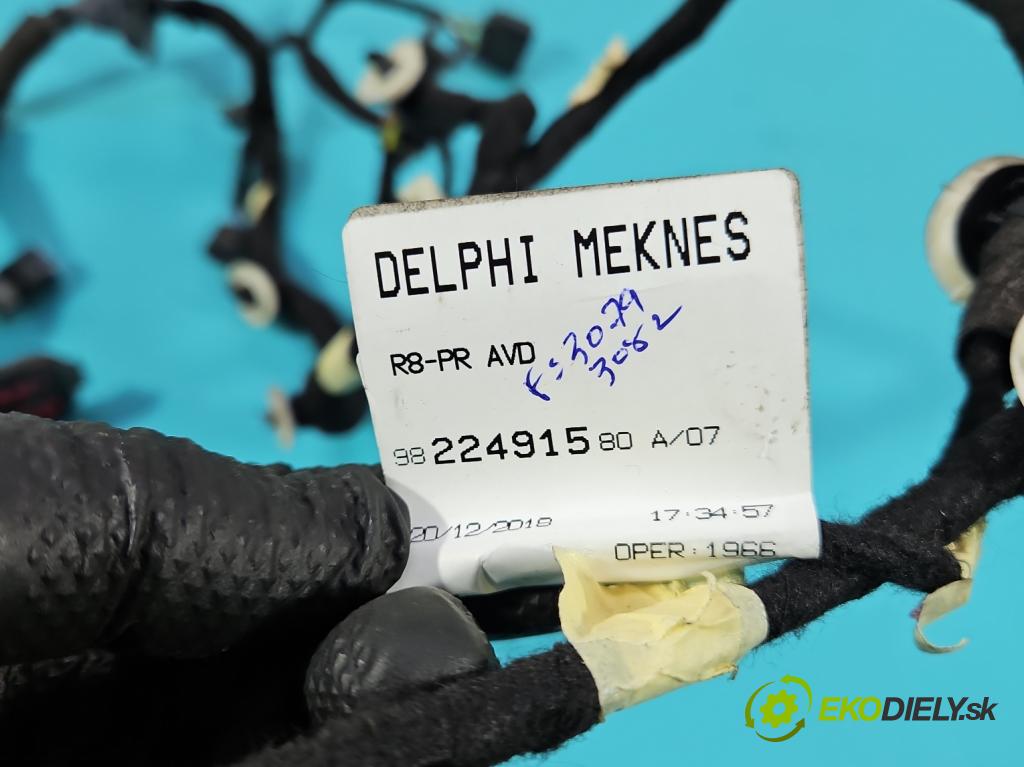 Peugeot 508 II 2018- 1.6 224 hp automatic 165 kW 1598 cm3 5- Balíček: dveře přední pravých 9822491580