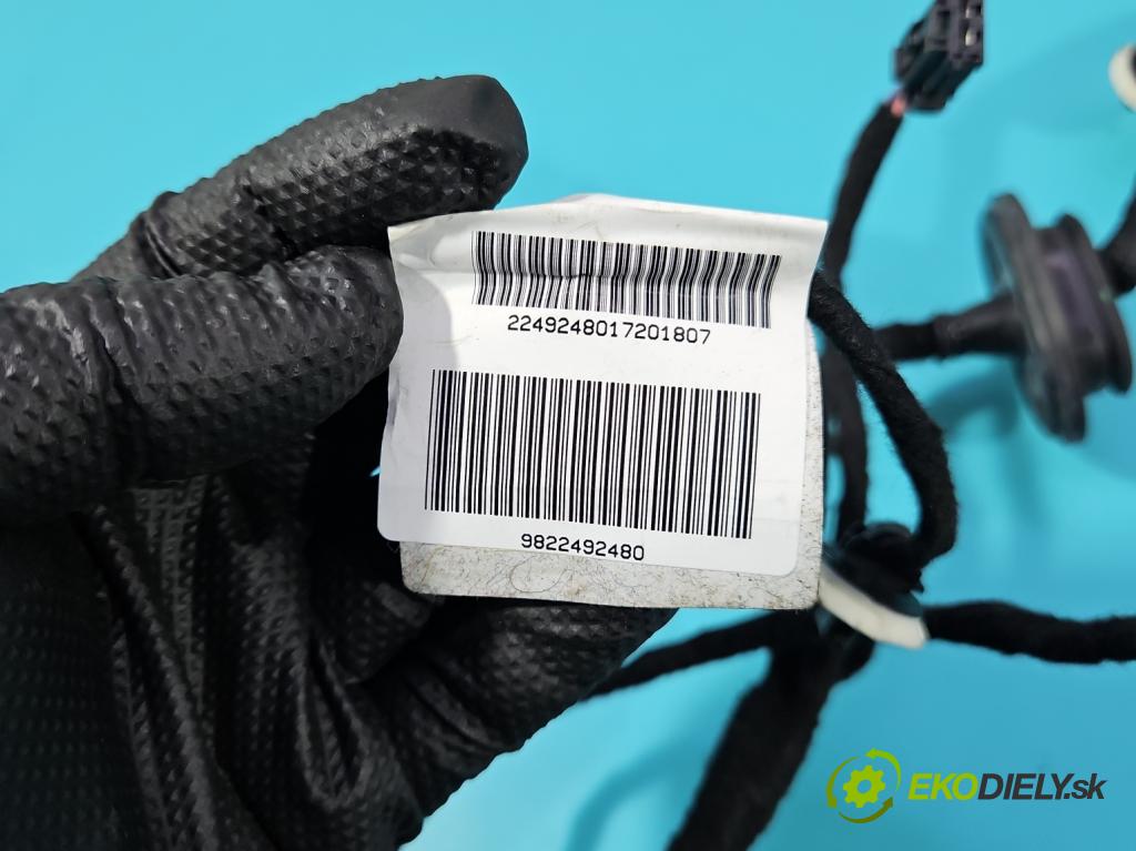 Peugeot 508 II 2018- 1.6 224 hp automatic 165 kW 1598 cm3 5- Balíček: dveře zadní pravých 9822684480