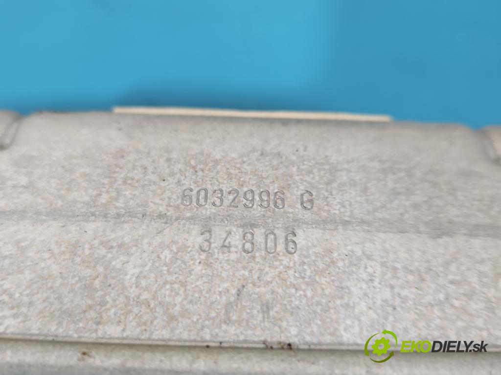 Land rover Range Rover sport I L320 3.6 TD V8 272 HP automatic 200 kW 3628 cm3 5- clona pravé 602659600