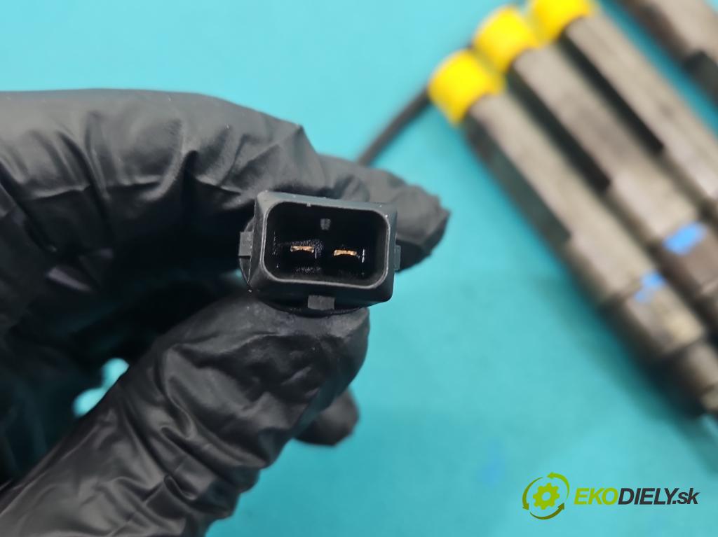 Renault Megane I 1995-2003 1.9 dti 98 HP manual 72 kW 1870 cm3 5- vstrek 0432193610 (Vstrekovač paliva)