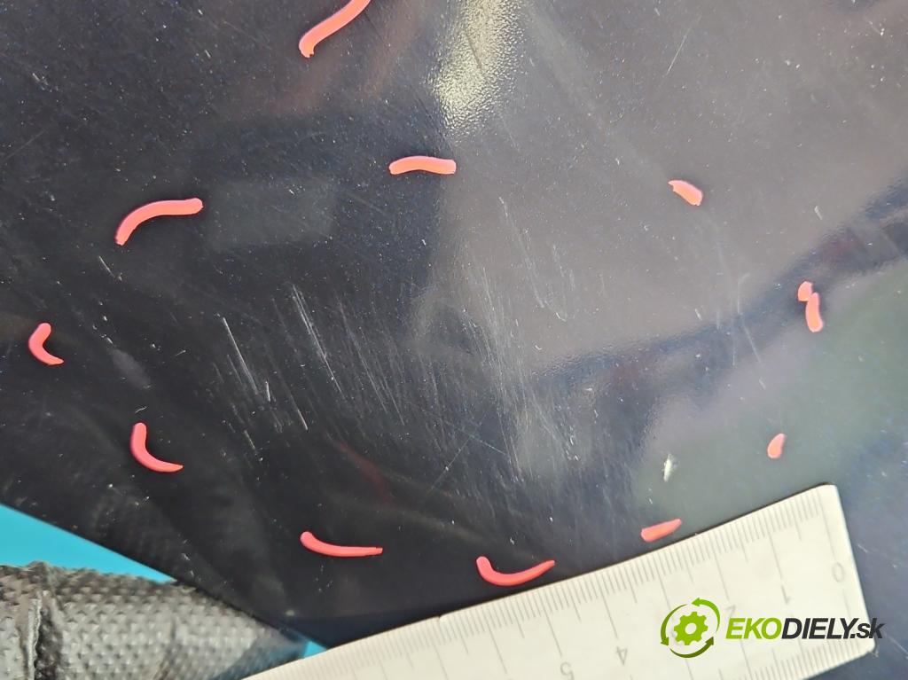 Land rover Range Rover sport I L320 3.6 TD V8 368DT 272 HP automatic 200 kW 3628 cm3 5- blatník predné ľavý  (Blatník predný ľavý)