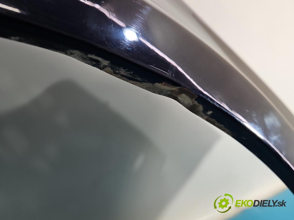 Land rover Range Rover sport I L320 3.6 TD V8 368DT 272 hp automatic 200 kW 3628 cm3 5- blatnik přední pravý  (Klika dveří ostatní)