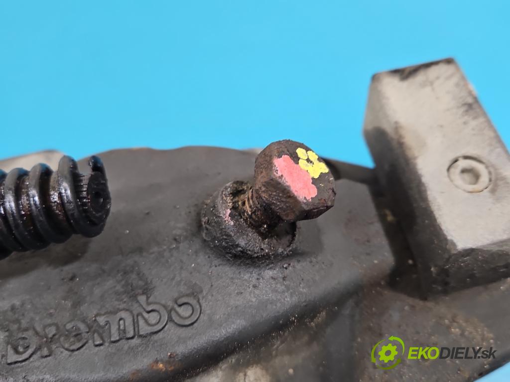 Land rover Range Rover sport I L320 3.6 TD V8 272 hp automatic 200 kW 3628 cm3 5- brzdič přední levý  (Klika dveří ostatní)