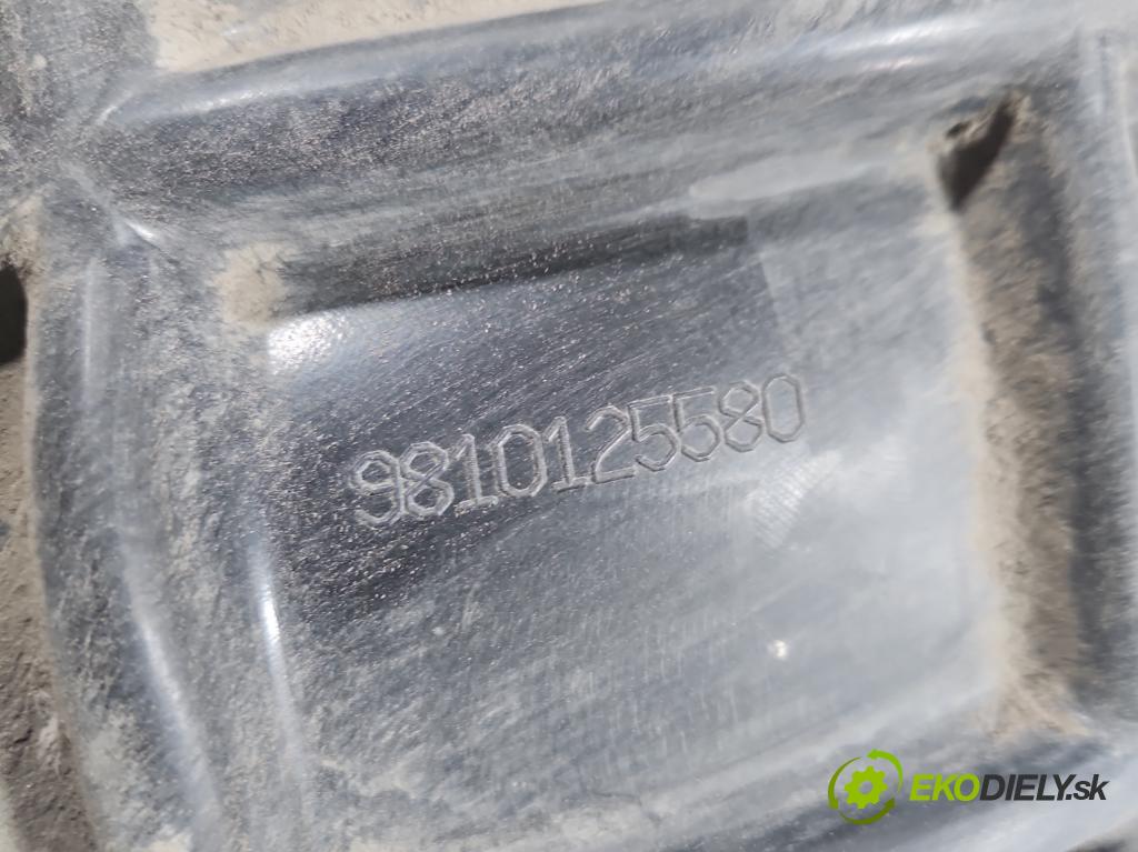 Peugeot 3008 II 2016-2023 1.5 hdi 131 HP automatic 96 kW 1499 cm3 5- Blatník: zadné pravé 9810125580