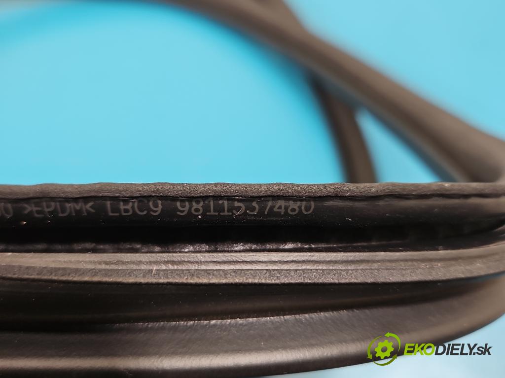 Peugeot 3008 II 2016-2023 1.5 hdi 131 hp automatic 96 kW 1499 cm3 5- Těsnění: dveře přední levé 9811537480