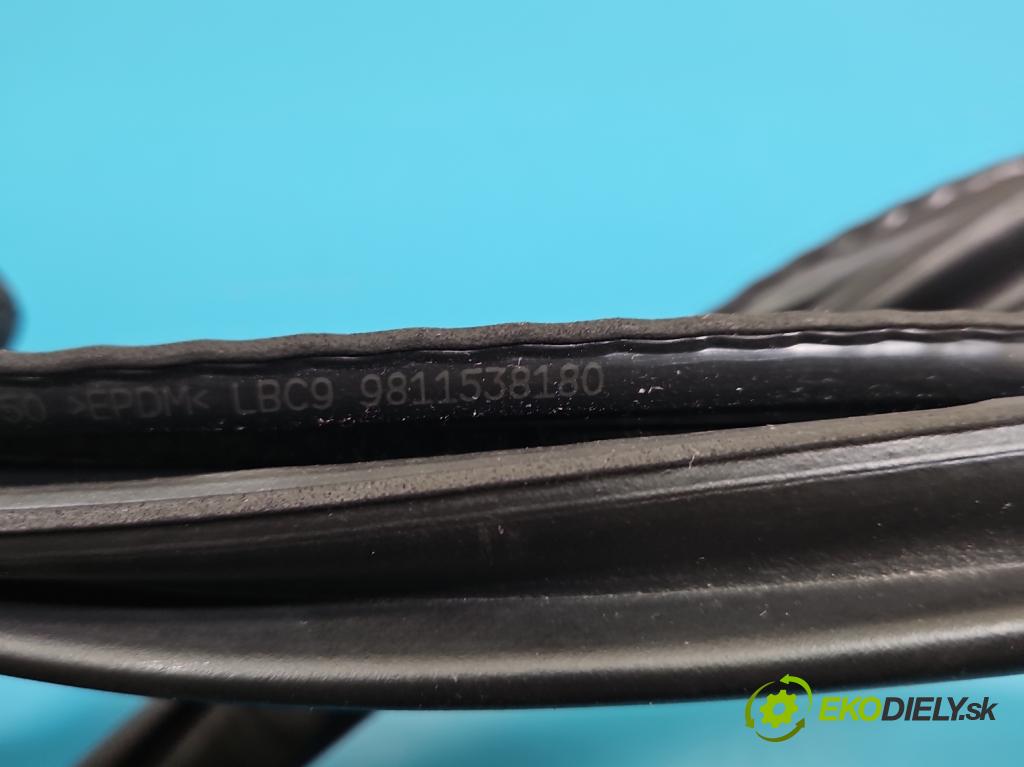 Peugeot 3008 II 2016-2023 1.5 hdi 131 hp automatic 96 kW 1499 cm3 5- Těsnění: dveře zadní levé 9811538180 (Karoserie ostatní)