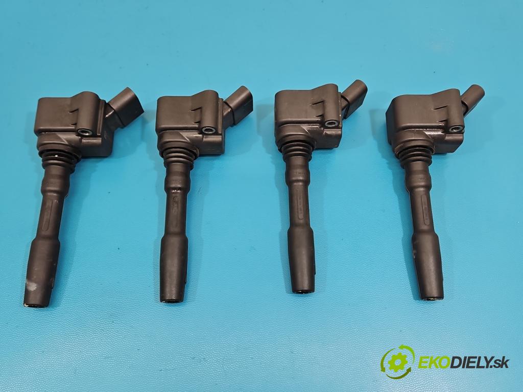 Skoda Octavia III 2013- 2.0 TSI 190 HP automatic 140 kW 1984 cm3 5- cievka zapaľovacia 06H905110L (Zapaľovacia cievka)