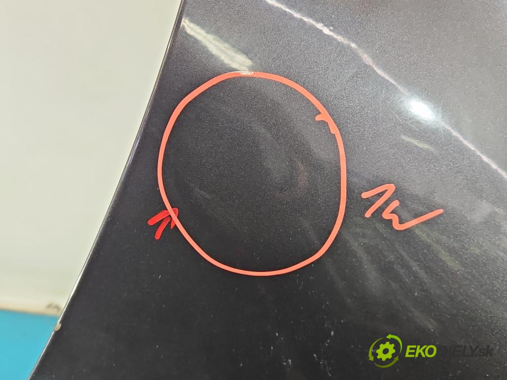 Kia Niro I 2016-2022 1.6 GDI 105 HP automatic 77 kW 1580 cm3 5- blatník predné pravý  (Kľučka dverí ostatné)