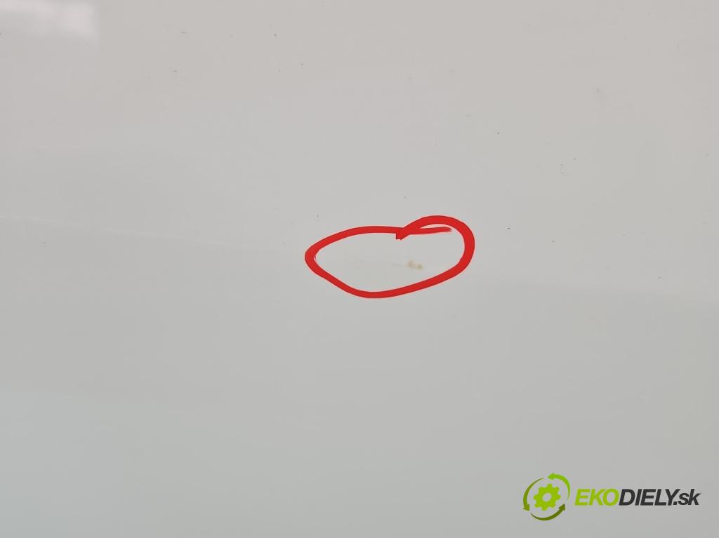 Renault Clio III 2005-2012 1.5 dci 68 HP manual 50 kW 1461 cm3 3- dvere predné pravé  (Kľučka dverí ostatné)