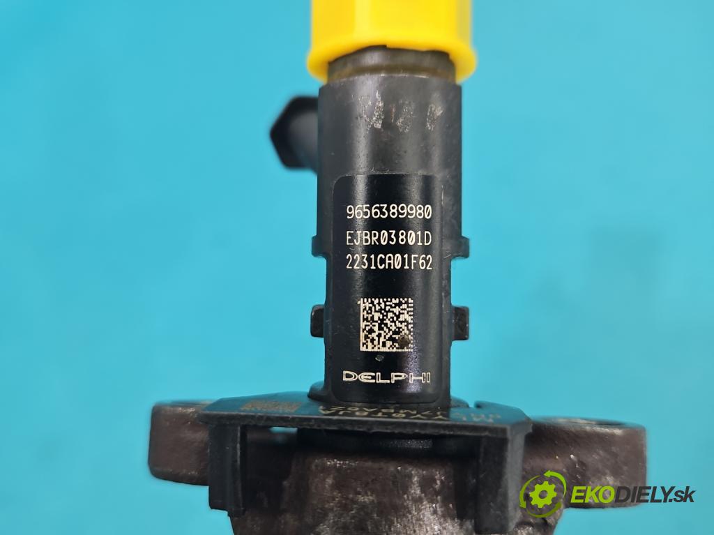 Citroen C5 II 2008-2017 2.0 hdi 136 HP manual 100 kW 1997 cm3 4- vstrek EJBR03801D (Vstrekovač paliva)