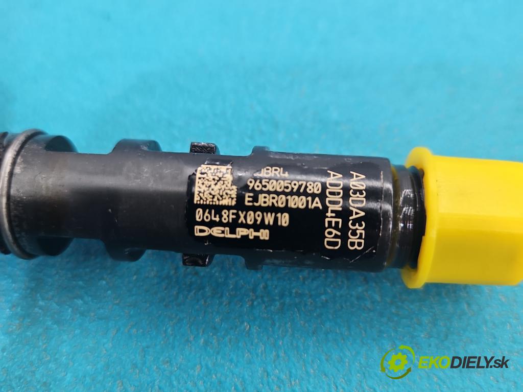 Citroen C3 I 2002-2009 1.4 hdi 90 hp manual 66 kW 1398 cm3 5- vstřikovač EJBR01001A (Vstřikovač paliva)