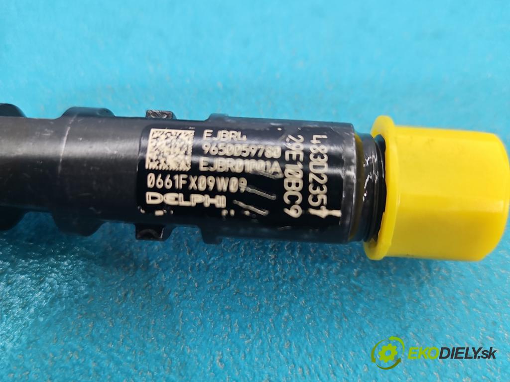 Citroen C3 I 2002-2009 1.4 hdi 90 HP manual 66 kW 1398 cm3 5- vstrek EJBR01001A (Vstrekovač paliva)