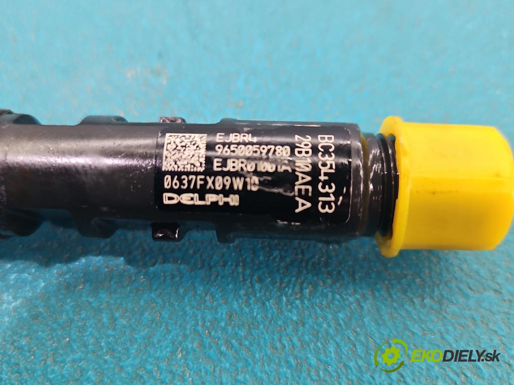 Citroen C3 I 2002-2009 1.4 hdi 90 HP manual 66 kW 1398 cm3 5- vstrek EJBR01001A (Vstrekovač paliva)