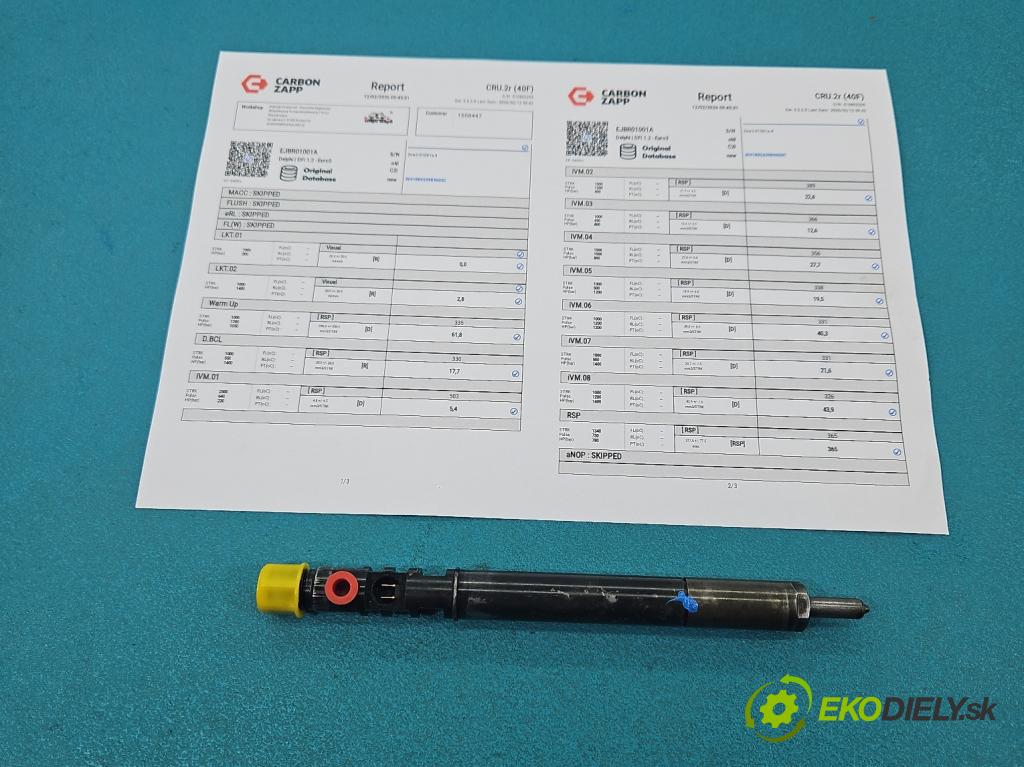 Citroen C3 I 2002-2009 1.4 hdi 90 HP manual 66 kW 1398 cm3 5- vstrek EJBR01001A (Vstrekovač paliva)