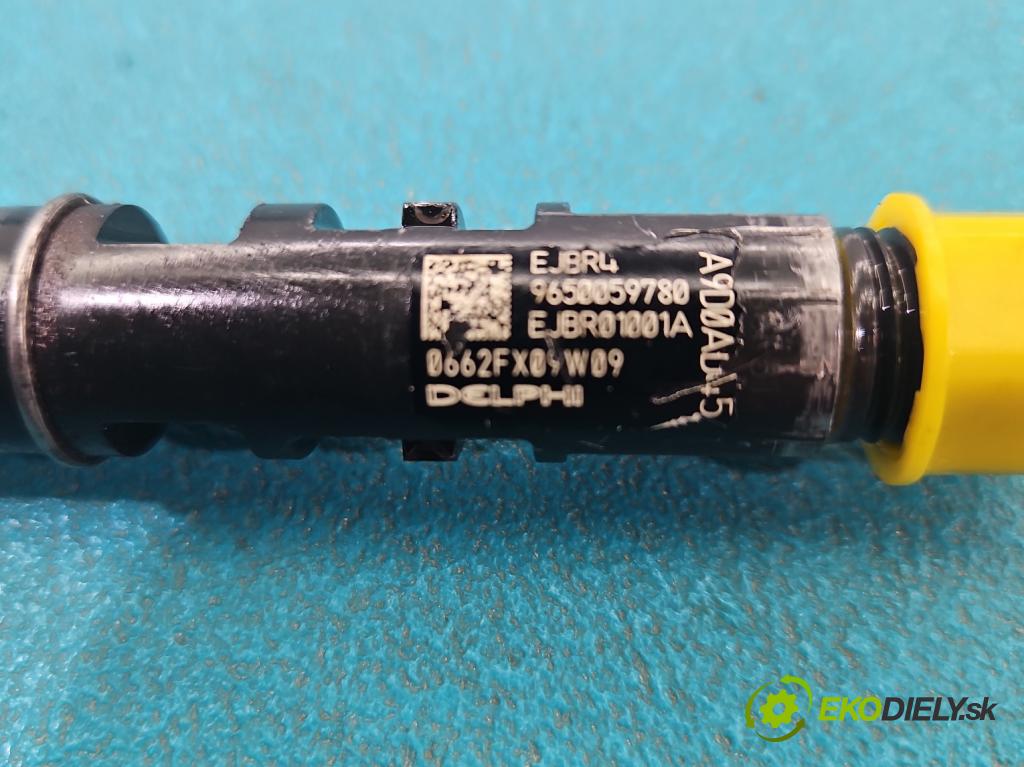 Citroen C3 I 2002-2009 1.4 hdi 90 HP manual 66 kW 1398 cm3 5- vstrek EJBR01001A (Vstrekovač paliva)