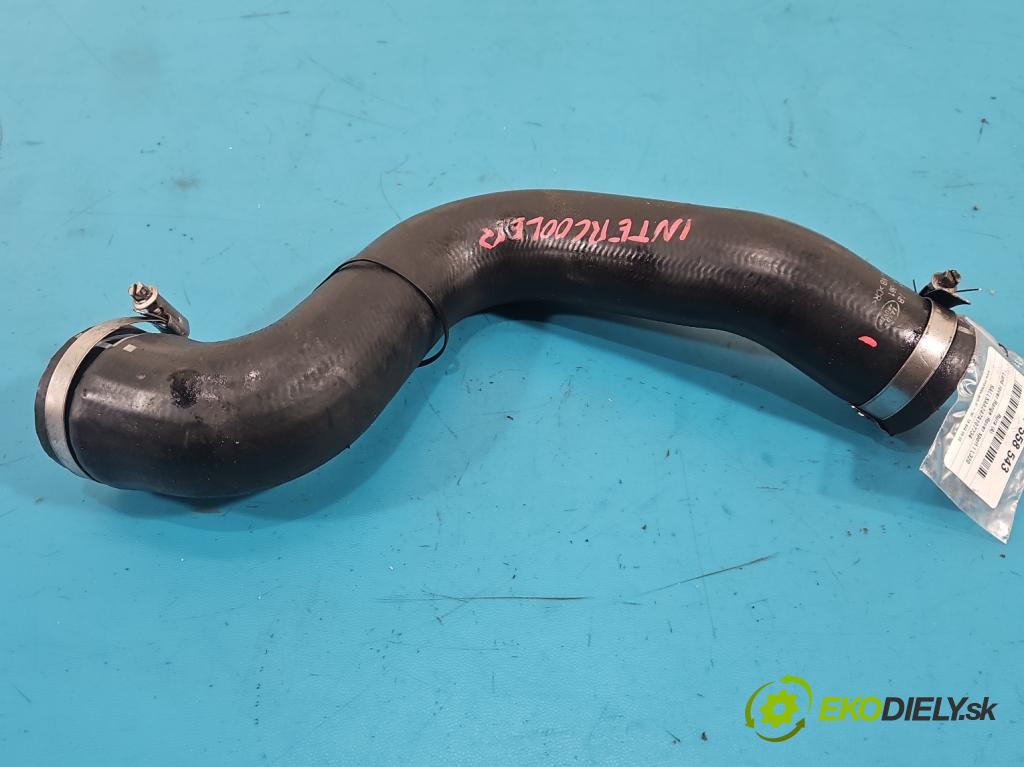 Land rover Range Rover sport I L320 3.6 TD V8 368DT 272 HP automatic 200 kW 3628 cm3 5- Trubka: 7H32-9G738-AB