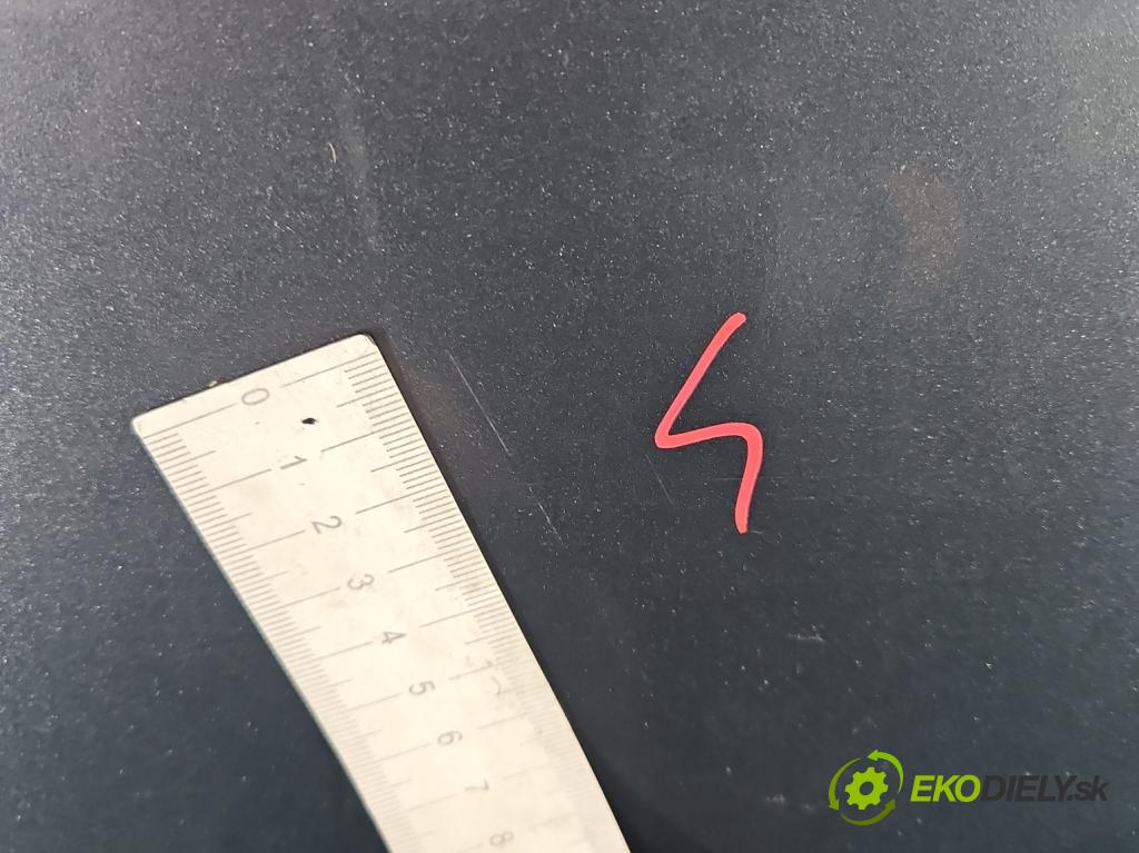 Fiat Scudo II 2006-2016 2.0 jtd 120 HP manual 88 kW 1997 cm3 5- kapota predná