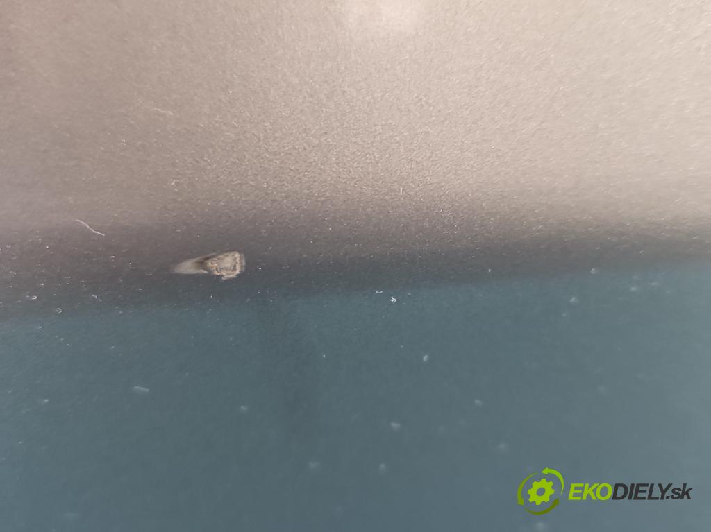 Bmw 3 E90 2005-2013 2.0d 163 HP manual 120 kW 1995 cm3 5- dvere predné pravé  (Kľučka dverí ostatné)