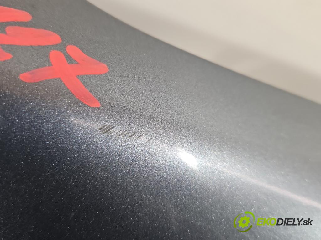 Fiat Scudo II 2006-2016 2.0 jtd 120 hp manual 88 kW 1997 cm3 5- blatnik přední pravý (Klika dveří ostatní)