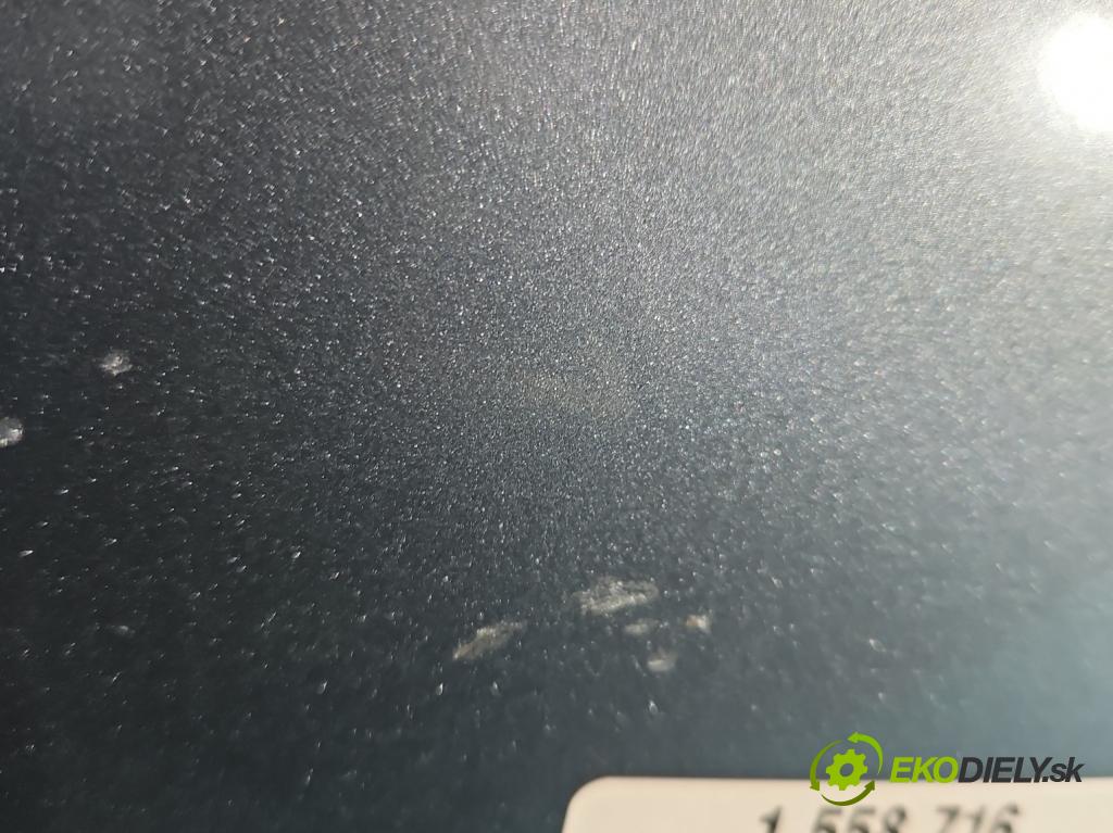 Fiat Scudo II 2006-2016 2.0 jtd 120 hp manual 88 kW 1997 cm3 5- blatnik přední pravý (Klika dveří ostatní)