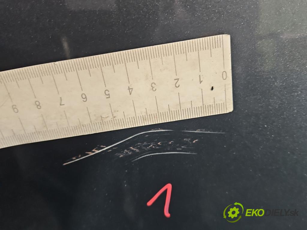 Fiat Scudo II 2006-2016 2.0 jtd 120 HP manual 88 kW 1997 cm3 5- dvere predné pravé  (Kľučka dverí ostatné)