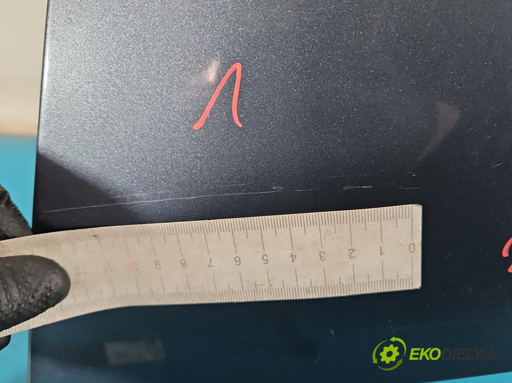 Fiat Scudo II 2006-2016 2.0 jtd 120 hp manual 88 kW 1997 cm3 5- blatnik přední levý  (Levý přední blatník)