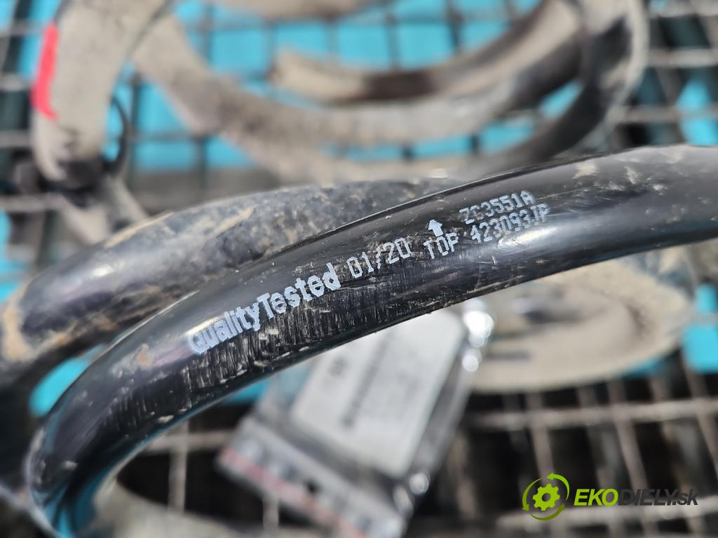 Fiat Scudo II 2006-2016 2.0 jtd 120 HP manual 88 kW 1997 cm3 5- Pružiny: predné komplet