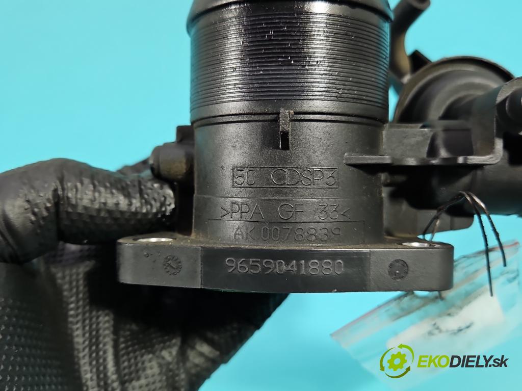 Fiat Scudo II 2006-2016 2.0 jtd 120 HP manual 88 kW 1997 cm3 5- klapka 9659041880 (Škrtiaca klapka)