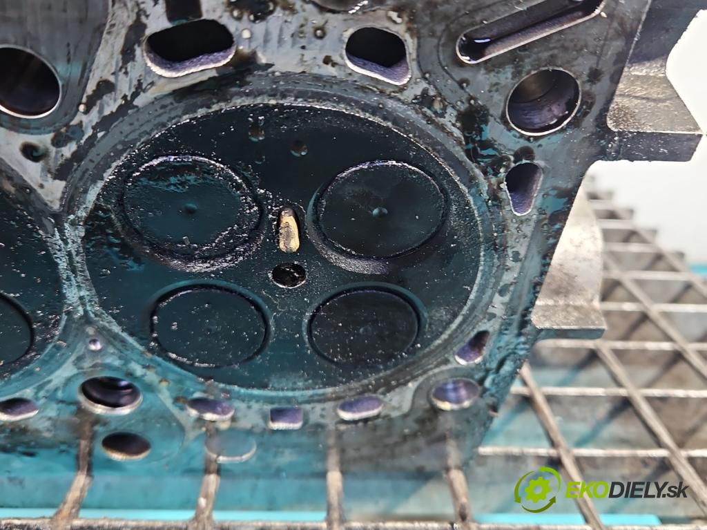 Bmw 3 E90 2005-2013 2.0d (M47): 163 HP manual 120 kW 1995 cm3 5- Hlava: motora 7785876