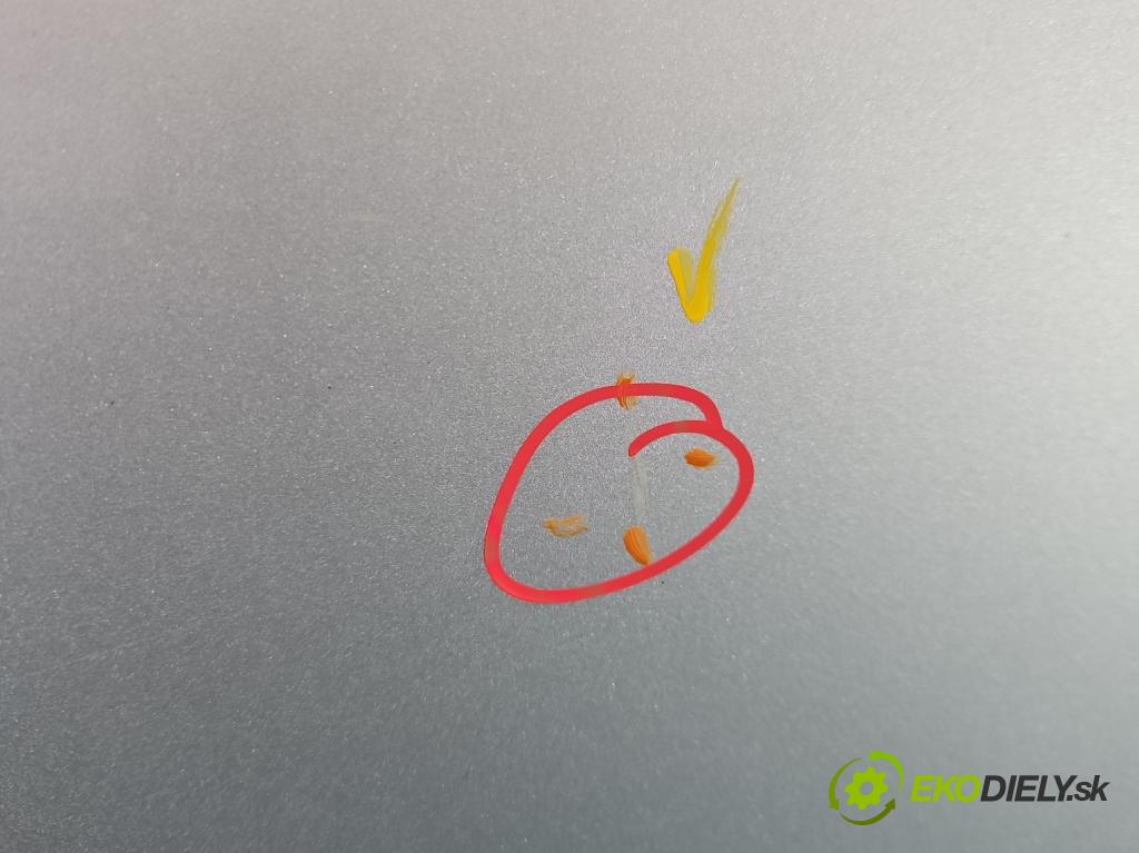 Fiat Punto Grande 1.4 8V 77 HP manual 57 kW 1368 cm3 5- dvere zadné ľavé  (Kľučka dverí ostatné)