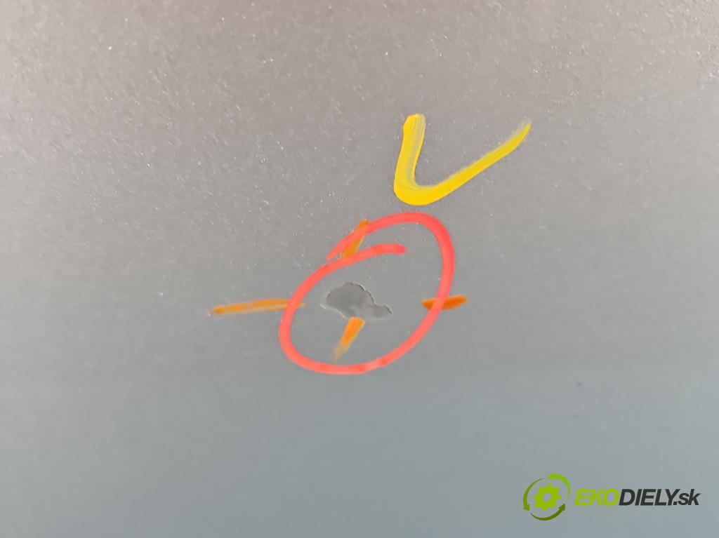 Fiat Punto Grande 1.4 8V 77 HP manual 57 kW 1368 cm3 5- dvere zadné pravé  (Kľučka dverí ostatné)