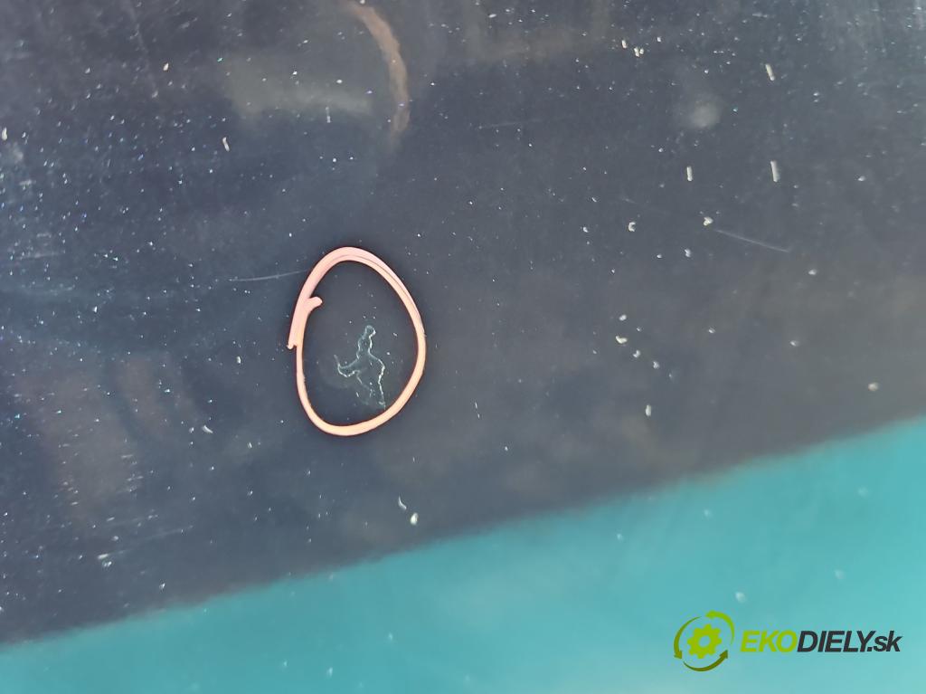 Fiat Freemont 2.0 jtd 170 HP manual 125 kW 1956 cm3 5- dvere zadné ľavé  (Kľučka dverí ostatné)