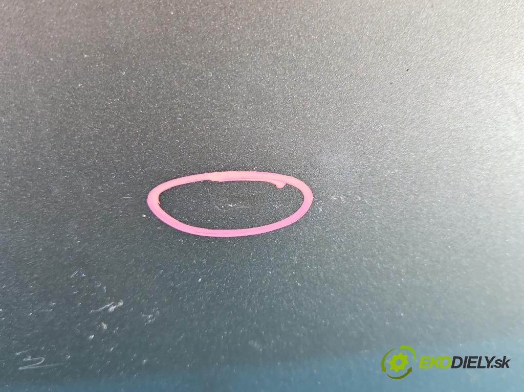 Bmw 1 E87 2004-2011 2.0d 150 HP manual 110 kW 1995 cm3 5- dvere predné pravé  (Kľučka dverí ostatné)