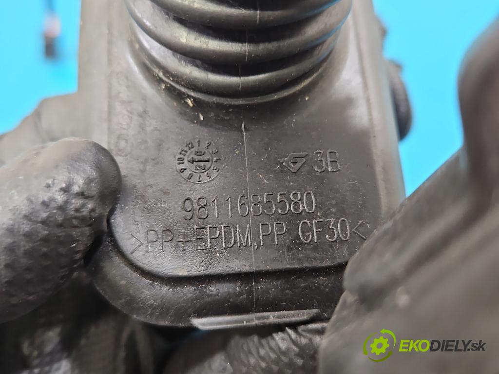 Citroen C5 Aircross 17-25 1.2 T 131 hp manual 96 kW 1199 cm3 5- Balíček: dveře přední pravých 9830599880