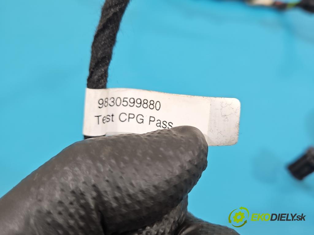 Citroen C5 Aircross 17-25 1.2 T 131 hp manual 96 kW 1199 cm3 5- Balíček: dveře přední pravých 9830599880