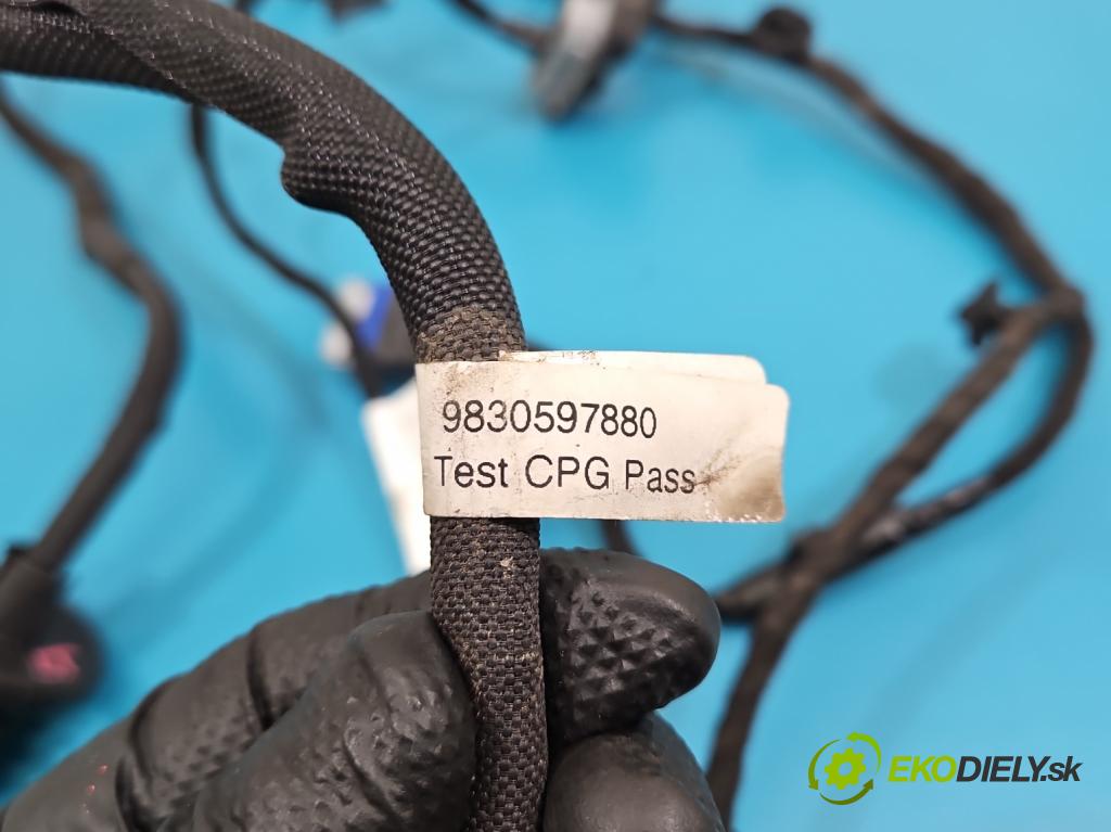 Citroen C5 Aircross 17-25 1.2 T 131 HP manual 96 kW 1199 cm3 5- Zväzok: dvere zadné vľavo: 9830597880