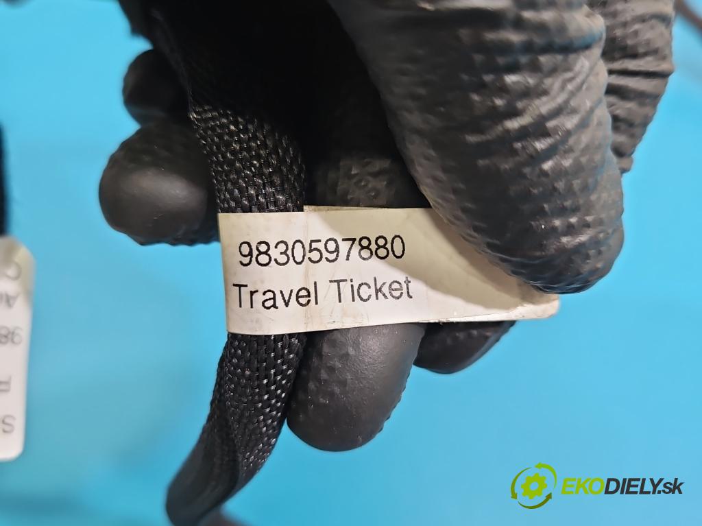 Citroen C5 Aircross 17-25 1.2 T 131 HP manual 96 kW 1199 cm3 5- Zväzok: dvere zadné pravých 9830597880